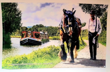News: Just Arrived... the Horse Drawn Barge Tea Towel!