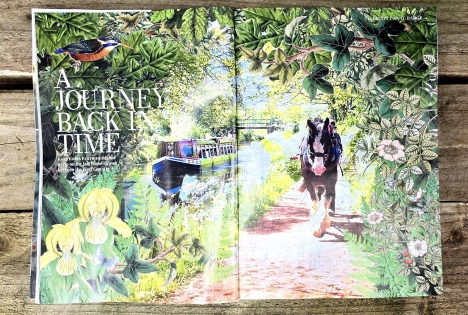 News: We are in Devon Life Magazine